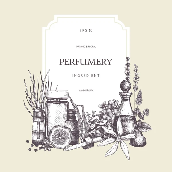 Design for cosmetics and perfumery — Stock Vector