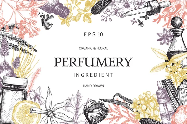 Diseño para cosméticos y perfumería — Archivo Imágenes Vectoriales