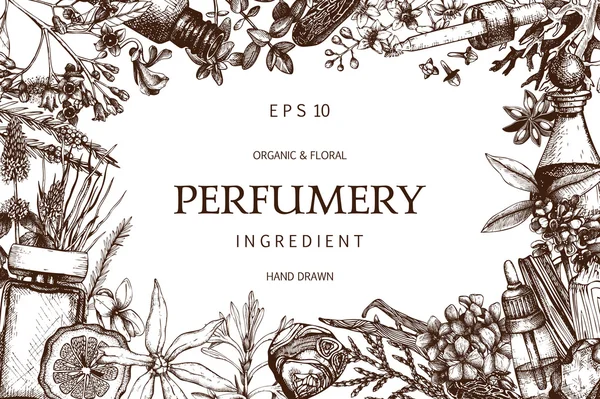 Design pour cosmétiques et parfumerie — Image vectorielle