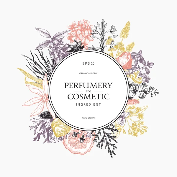 Design for cosmetics and perfumery — Stock Vector