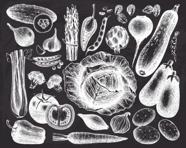 elle çizilmiş sebze seti