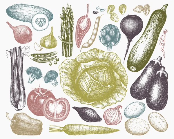 手描きの野菜セット — ストックベクタ