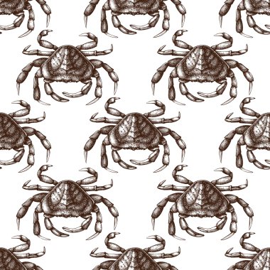El çizilmiş yengeç kroki deseni