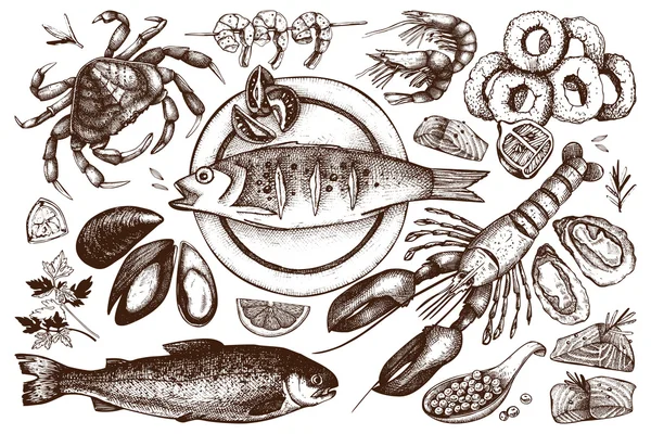 Hand drawn sea food sketch — Stock Vector