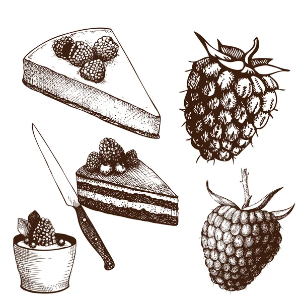 Frutti di bosco dessert gustosi — Vettoriale Stock