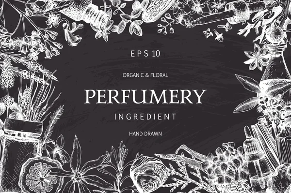 Parfümeri için aromatik bitkiler ile dekoratif arka plan — Stok Vektör
