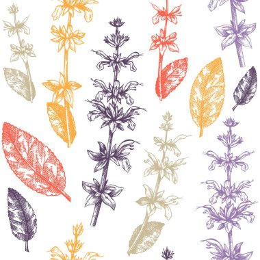 Herbal pattern with sage leaves and flowers in color. Common Sage vector illustration. Hand-drawn medical herbs elements. Engraved style herbal plant backdrop. Culinary sage seamless background. 
