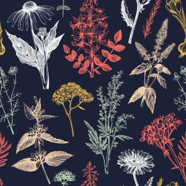 Botanical background with hand drawn spices and herbs. Decorative colorful backdrop with vintage medicinal plants sketches. Herbal seamless pattern. 