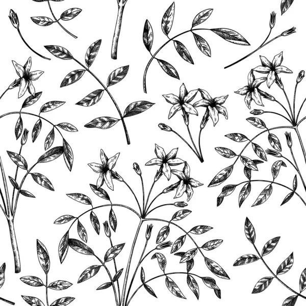 Esquissé Main Jasmin Motif Sans Couture Illustration Botanique Avec Feuilles — Image vectorielle