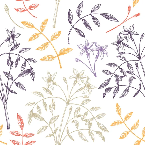 Hand Sketched Jasmine Seamless Pattern Color Botanical Illustration Leaves Flowers — Stock Vector