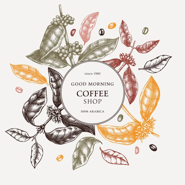 手绘草色咖啡花环图案 完美的配方 带有叶子 豆子和花朵的老式咖啡植物模板 酒吧菜单元素 植物学说明 — 图库矢量图片
