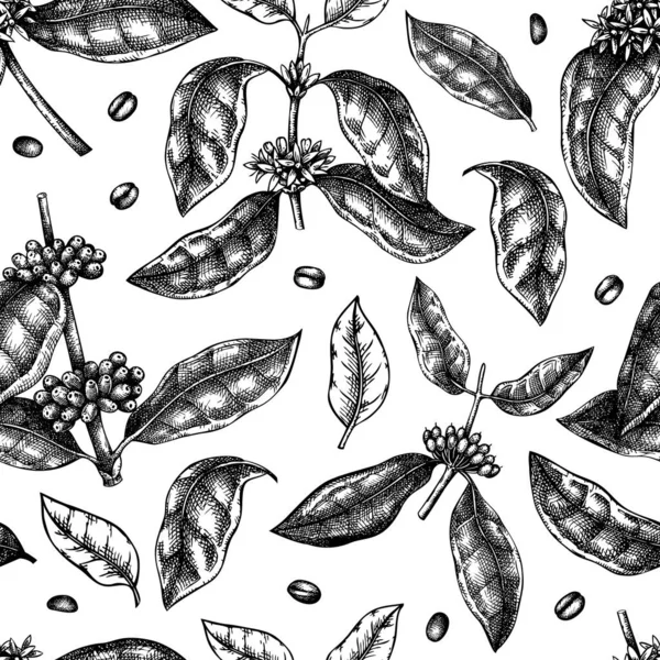 Hand Sketched Coffee Plant Seamless Pattern Vector Background Hand Drawn — Wektor stockowy