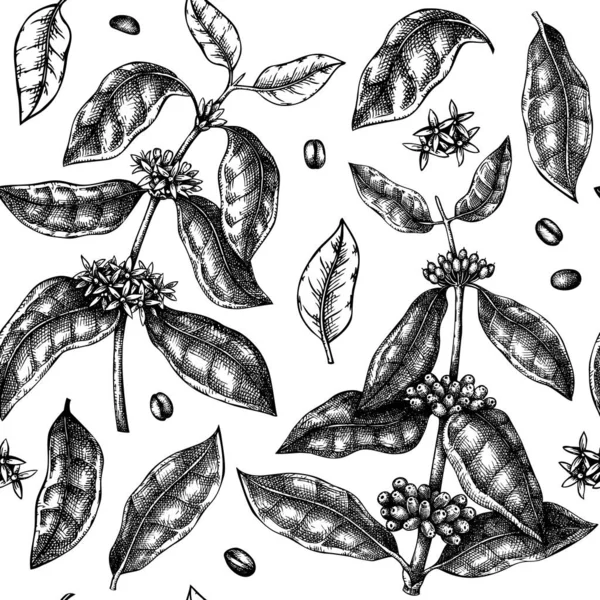 手描きのコーヒー工場のシームレスなパターン 手描きの葉 豆や果物のイラストとベクトル背景 包装紙 ブランド 生地のために — ストックベクタ