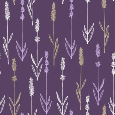 Mürekkeple çizilmiş lavanta arka planı. Lavanta eskizleriyle kusursuz desenli vektör otlar. Bitkisel çay malzemeleri. Kozmetik, parfüm, kumaş, ambalaj kağıdı ve parmak izi için mükemmel..
