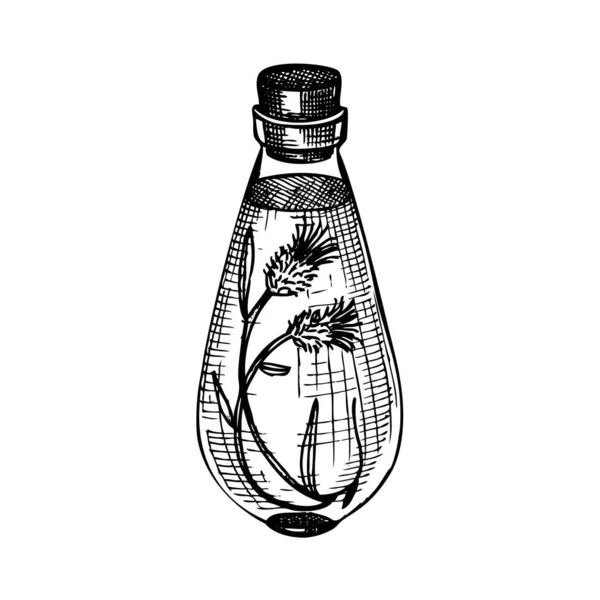 Handgeschetste Flessen Met Bloemenextract Vintage Stijl Glaswerk Handtekening Voor Cosmetische — Stockvector