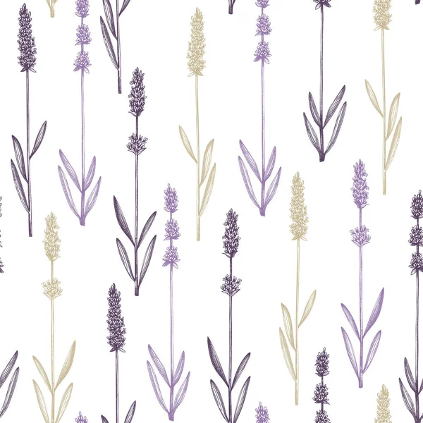 Handgezeichneter Lavendelhintergrund Mit Tusche Vektorkräuter Nahtloses Muster Mit Lavendelskizzen Zutaten — Stockvektor