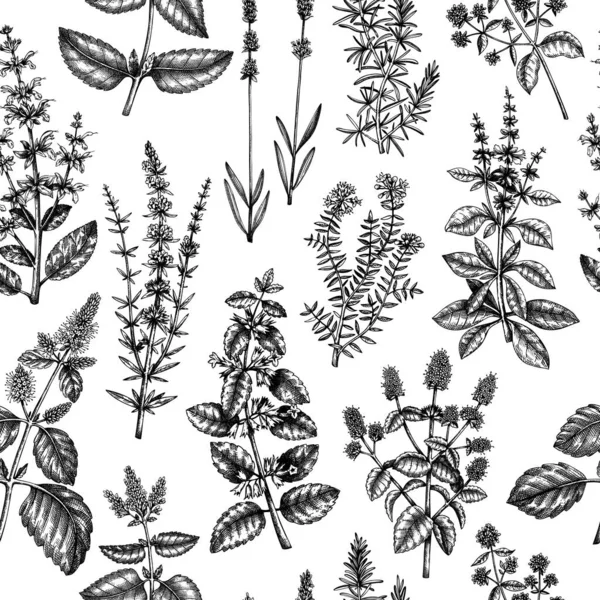 Мятные Конфеты Бальзамы Бесшовные Наброски Ароматических Лекарственных Трав Травяной Чай — стоковый вектор