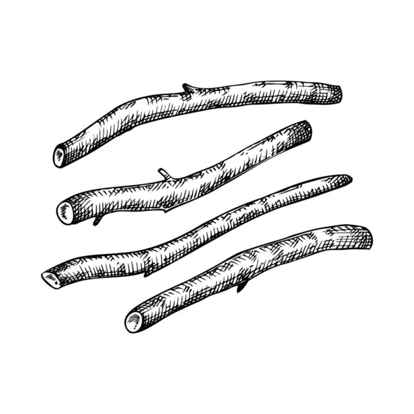 Ashwagandha Riits Adaptogene Pflanzenillustration Heilkräuter Isoliert Auf Weißem Hintergrund Botanische — Stockvektor