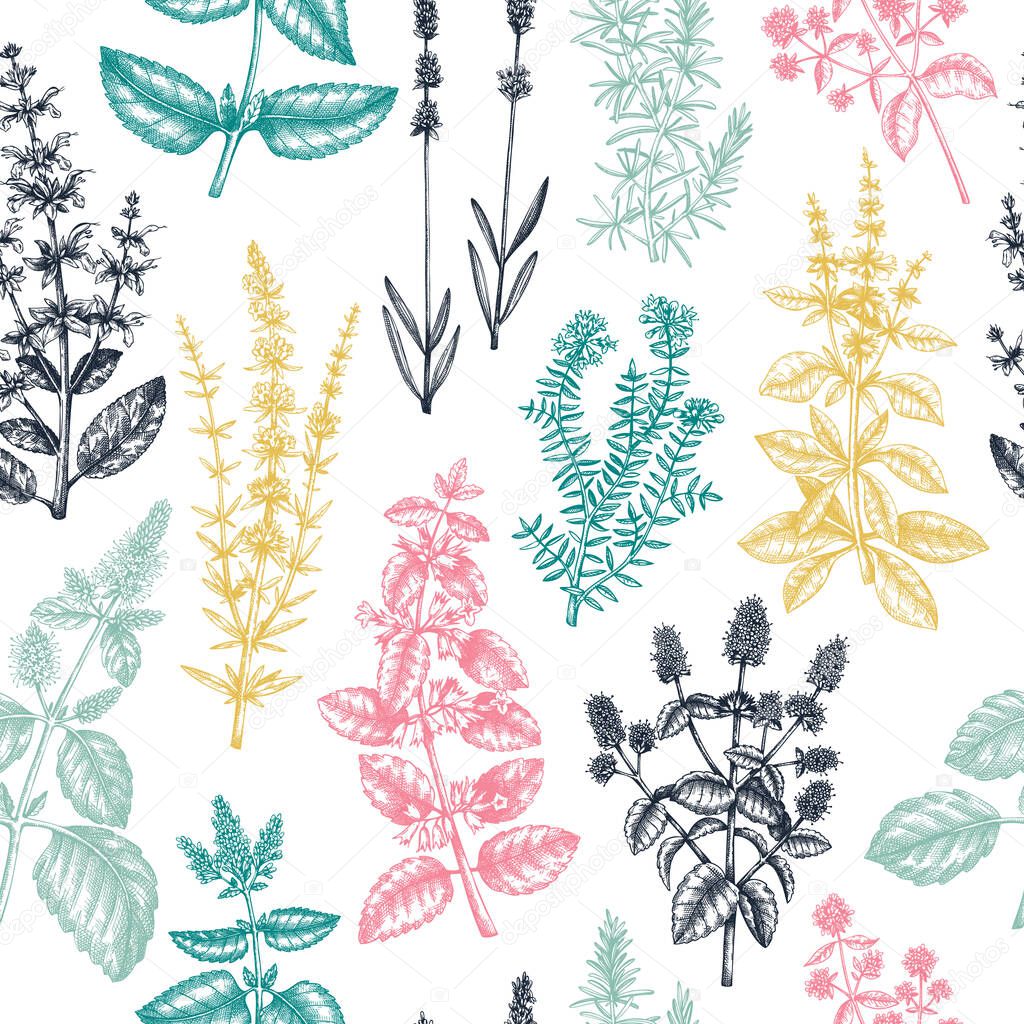 Mints and balms seamless pattern. And sketched aromatic and medicinal herb background. Herbal tea ingredients. Mint plants in vintage style. Summer wild flower backdrop.