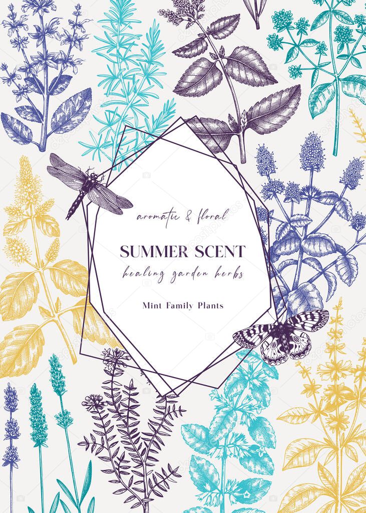 Hand-sketched Mints and Balms card or invitation design. Mints plants and insects illustration. Medicinal herbs and summer flowers background. Herbal tea ingredients template. Botanical sketches