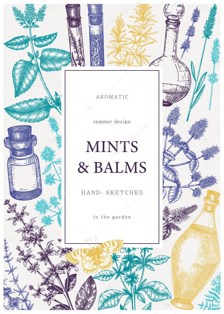 Hand-drawn perfumery and cosmetics ingredients banner. Decorative background with vintage mints and balms herbs for perfumery. Organic cosmetics design template. Aromatic plants flyer