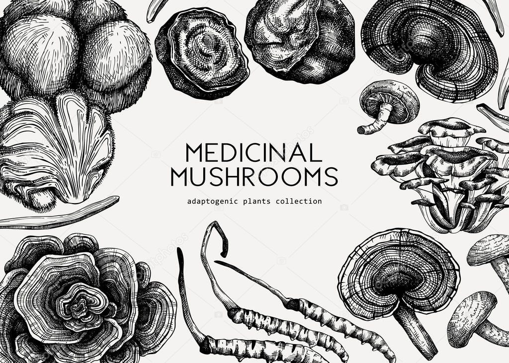 Medicinal mushroom illustrations background. Hand-sketched adaptogenic plants frame design. Perfect for recipe, menu, label, packaging. Hand sketched mushroom outlines. Botanical elements.