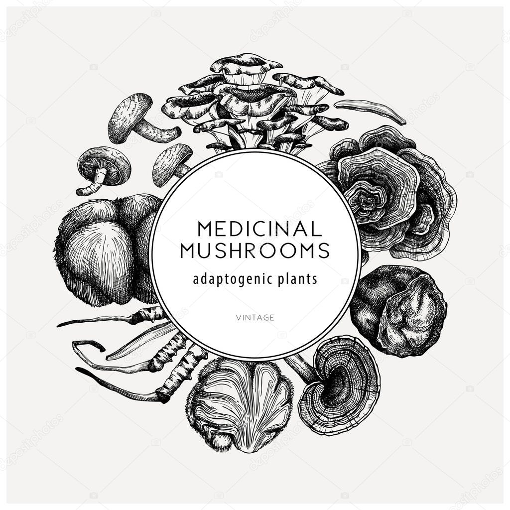 Medicinal mushroom illustrations wreath. Hand-sketched adaptogenic plants frame design. Perfect for recipe, menu, label, packaging. Hand sketched mushroom outlines. 