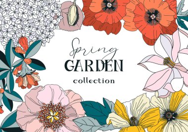 Bahar ve yaz çiçekleri olan vektör çerçevesi - haşhaş, manolya, şakayık. Tebrik kartı ve davetiye için çiçek çerçevesi. Etkinlik ya da düğün tasarımı için kullanılabilir. Bahçe çiçekleri botanik çizimler