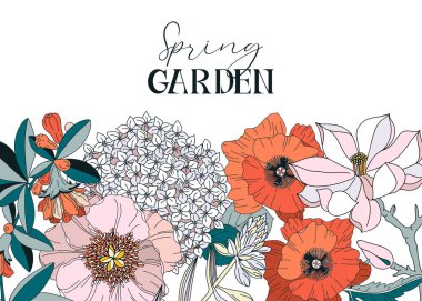 Bahar ve yaz çiçekleri olan vektör çerçevesi - haşhaş, manolya, şakayık. Tebrik kartı ve davetiye için çiçek çerçevesi. Etkinlik ya da düğün tasarımı için kullanılabilir. Bahçe çiçekleri botanik çizimler