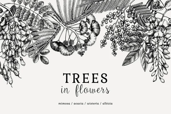花に手描きの木が描かれたベクトルバナー ミモザ アルビジア アカシアの開花に関するヴィンテージイラスト レトロスタイルの花カードや招待状のデザイン — ストックベクタ