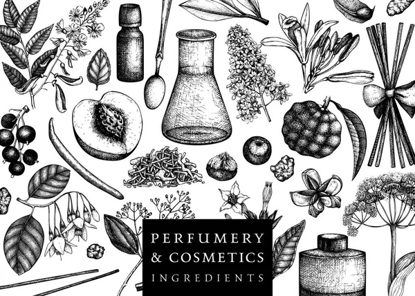 Fond Vectoriel Avec Des Fruits Parfumés Des Fleurs Illustration Parfumerie — Image vectorielle