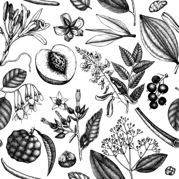 Fond Vectoriel Avec Des Fruits Des Fleurs Parfumés Parfumerie Esquissée — Image vectorielle