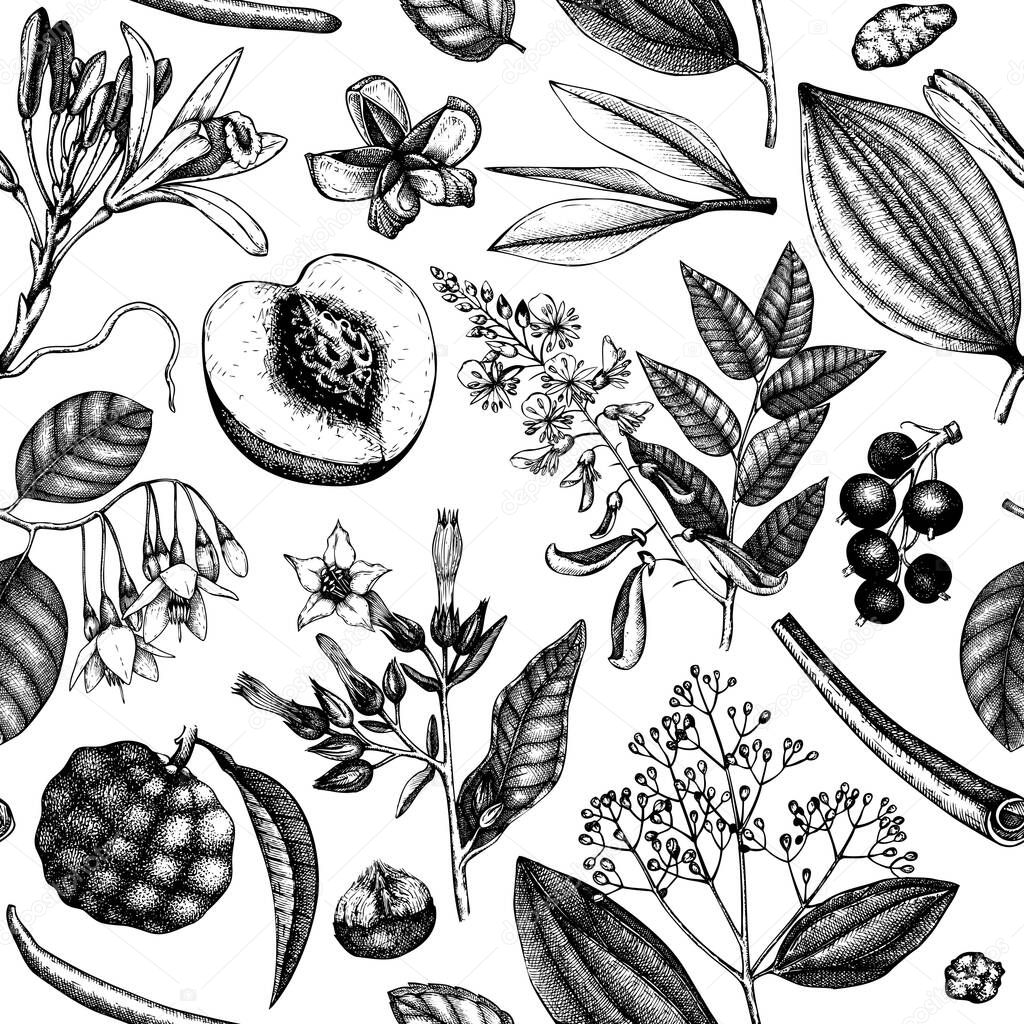 Vector background with fragrant fruits and flowers. Hand sketched perfumery and cosmetics ingredients backdrop. Aromatic and medicinal plant design. Botanical seamless pattern for brands or packaging