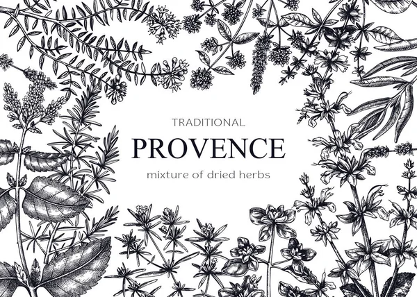 Bannière Traditionnelle Aux Herbes Provence Cadre Vectoriel Avec Illustrations Savoureuses — Image vectorielle