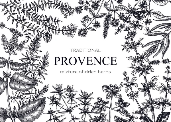 Tradiční Provence Byliny Banner Design Vektorový Rám Pikantní Majoránka Rozmarýn Royalty Free Stock Vektory