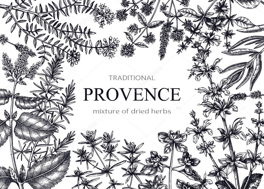 Traditional Provence herbs banner design. Vector frame with savory, marjoram, rosemary, thyme, oregano, lavender illustrations. Hand-sketched kitchen herbs, aromatic and medicinal plants 