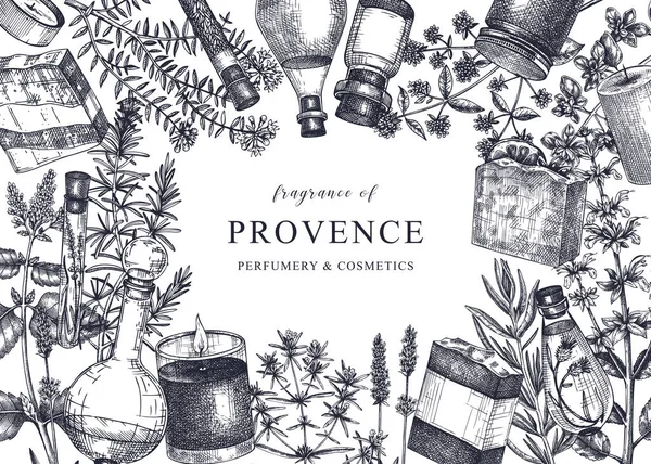 Provence Kruiden Achtergrond Vintage Stijl Handgeschetste Aromatische Medicinale Planten Ontwerp — Stockvector