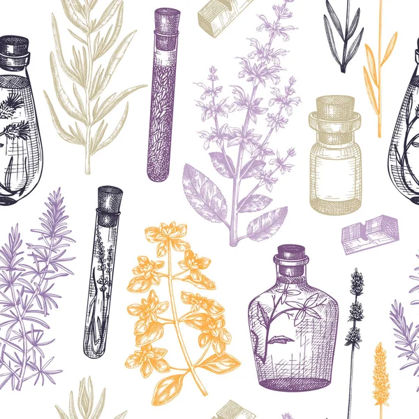 Fond Herbes Provence Dans Style Vintage Conception Plantes Aromatiques Médicinales — Image vectorielle