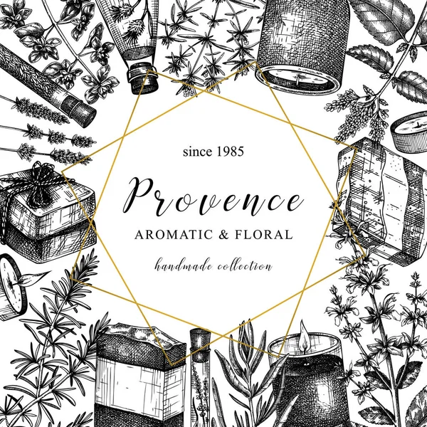 Hierbas Provenza Diseño Estilo Vintage Diseño Plantas Aromáticas Medicinales Dibujadas — Vector de stock