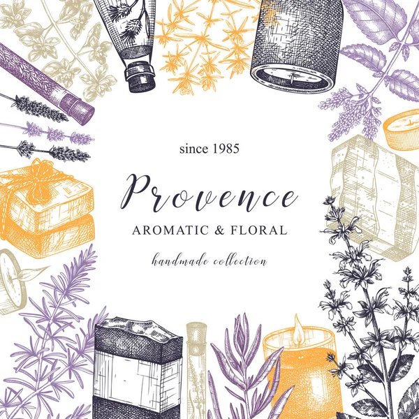 Cadre Herbes Provence Couleur Conception Plantes Aromatiques Médicinales Esquissées Main — Image vectorielle
