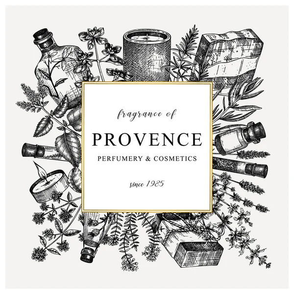 Provence Kruiden Vierkante Krans Vintage Stijl Handgeschetste Aromatische Medicinale Planten — Stockvector