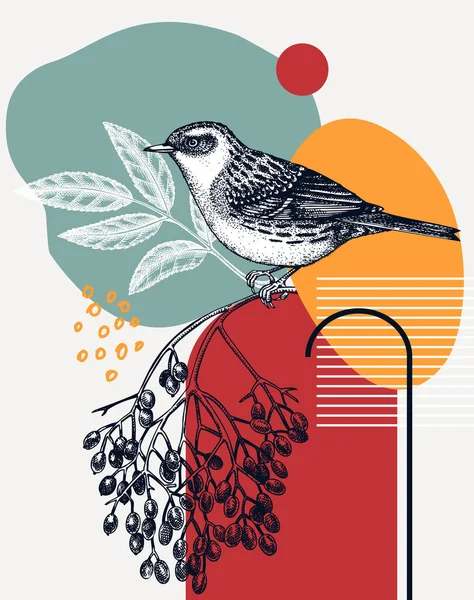Handskizzierte Dunnock Vektorillustration Sitzender Vogel Auf Holunderzweig Illustration Collagenstil Mit — Stockvektor