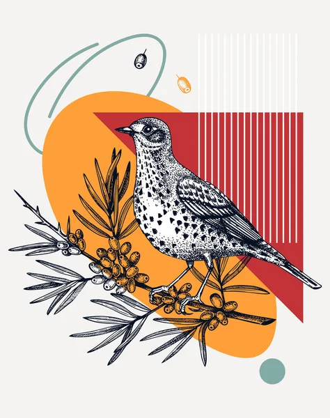 Illustrazione Vettoriale Del Mistle Disegnata Mano Uccello Appollaiato Sul Ramo — Vettoriale Stock