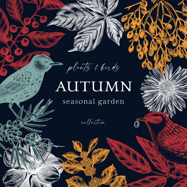 Модный дизайн осеннего венка. Дикие птицы на темно-синем фоне. Элегантный ботанический шаблон с осенними листьями, ягодами, цветами и птичьими набросками. Перфект для приглашения или открыток.