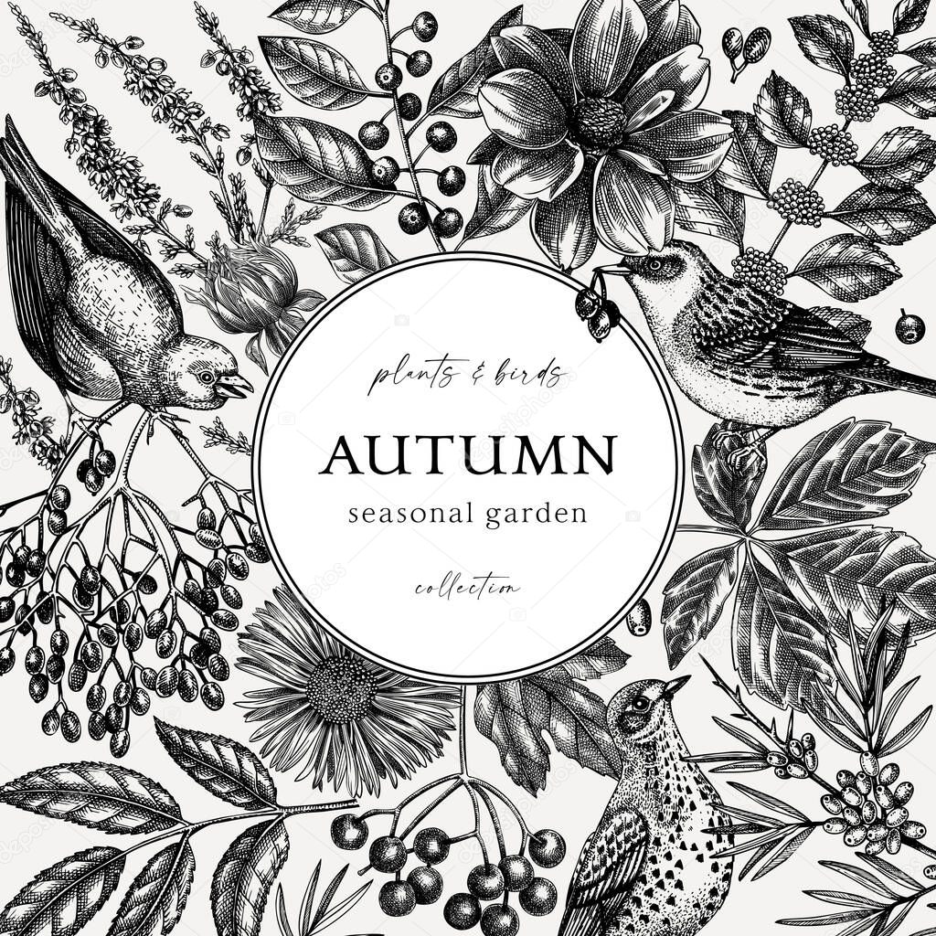 Hand sketched autumn retro design. Elegant botanical template with autumn leaves, berries, flowers and bird sketches. Perfect for invitation, cards, flyers, menu, label, packaging. 