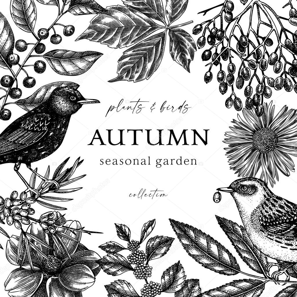 Hand-sketched autumn retro frame. Elegant botanical template with autumn leaves, berries, flowers and bird sketches. Perfect for invitation, cards, flyers, menu, label, packaging. Autumn birds art.