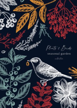 Elle çizilmiş kuş ve bitkilerle dolu bir sonbahar kartı şablonu. Sonbahar yaprakları, böğürtlenler, çiçekler ve Dunnock kuş çizimleri olan zarif bir botanik tasarımı. Düğün davetiyesi için mükemmel, kartlar, el ilanları, afişler