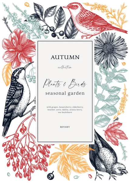 用鸟类手绘的秋天框架设计 精美的植物模板 秋天的叶子 花朵和鸟类素描的色彩 完美的老式邀请函 社交媒体 — 图库矢量图片