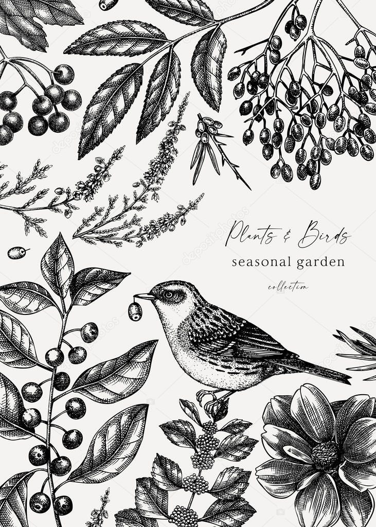 Vintage autumn design with bird. Elegant botanical template with autumn leaves, berries, flowers and dunnock sketches. Perfect for vintage invitation, cards, flyers, label, packaging.