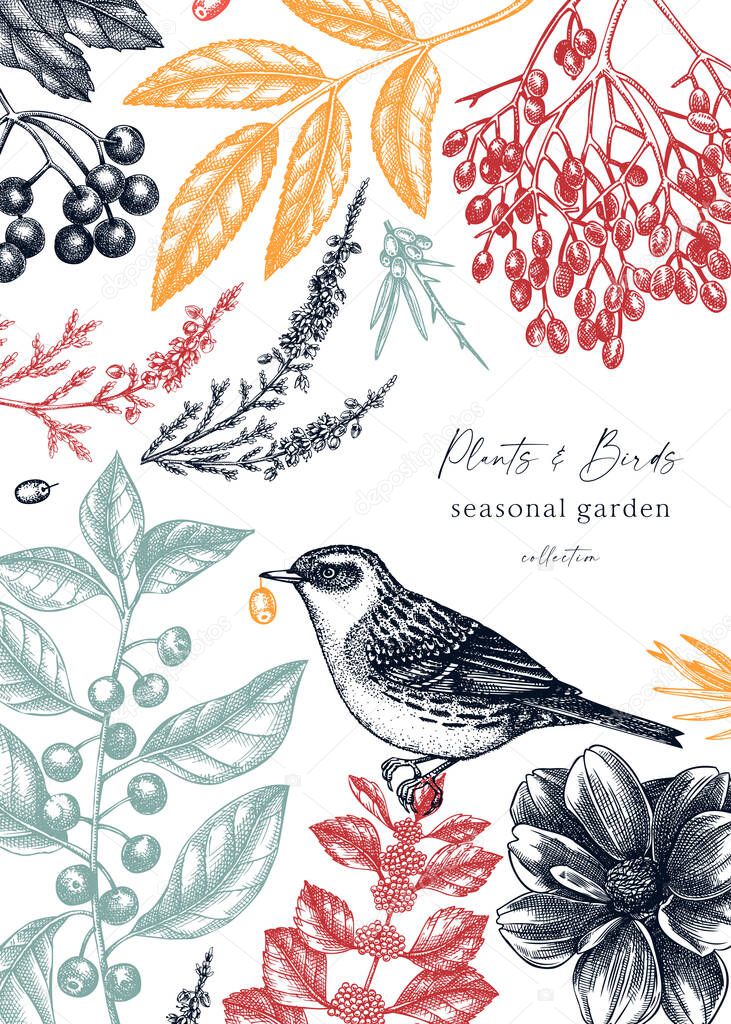 Hand-sketched autumn card design with dunnock. Elegant botanical template with autumn leaves, berries, flowers and bird sketches. Perfect for cards, wedding, invitation, social media and web